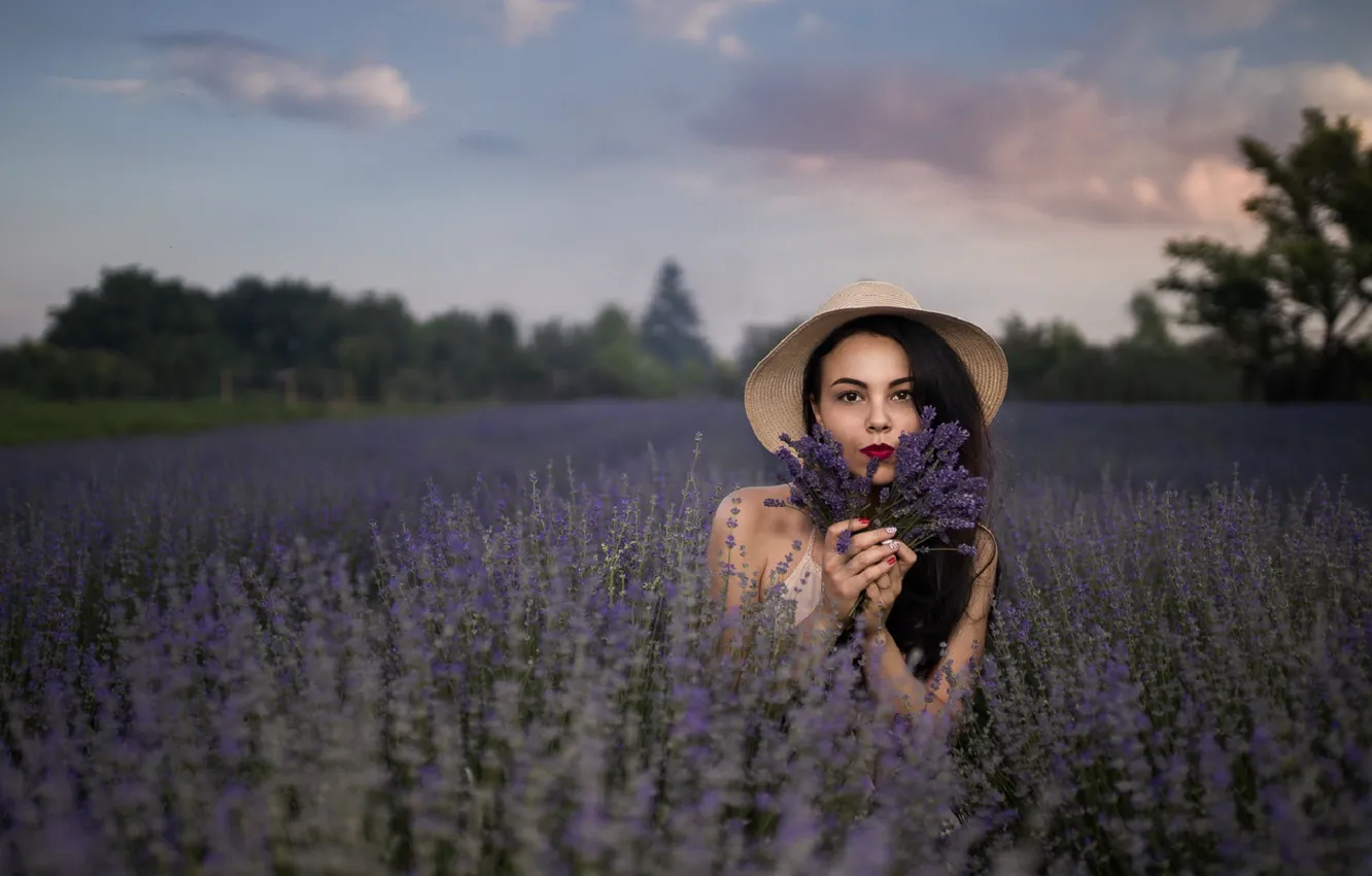 Photo wallpaper field, girl, flowers, nature, Andrea Carretta