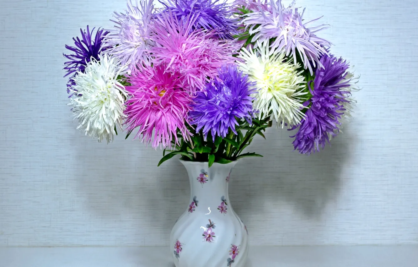 Photo wallpaper flowers, background, vase, asters