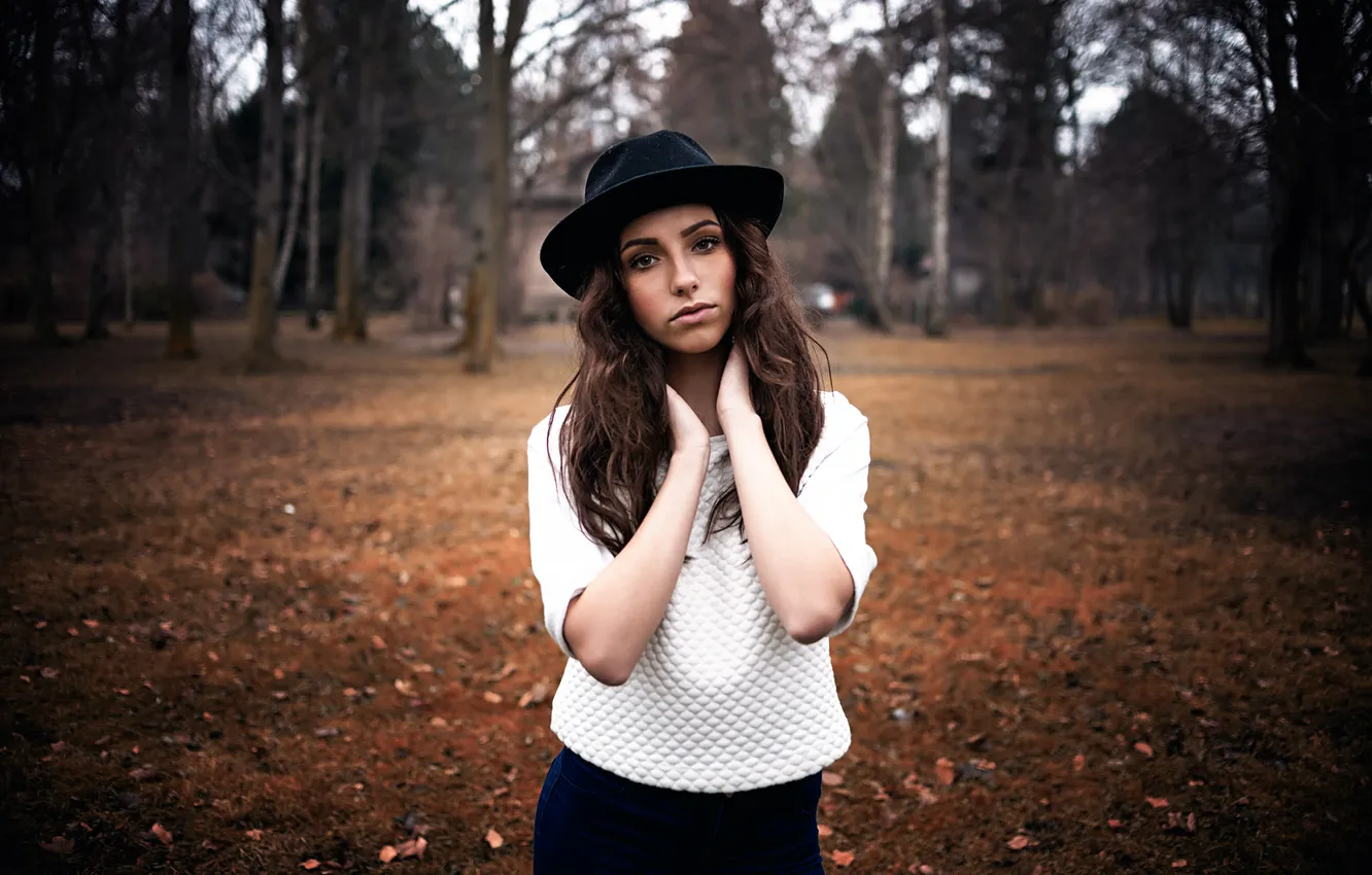 Photo wallpaper hat, sponge, brown-eyed, pure