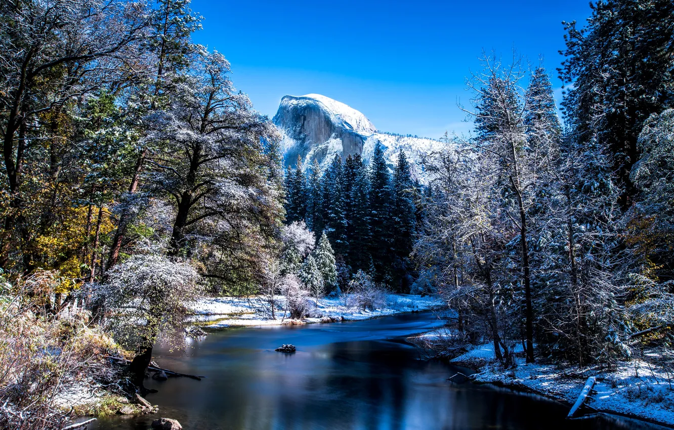 Photo wallpaper winter, forest, the sky, snow, trees, landscape, mountains, nature