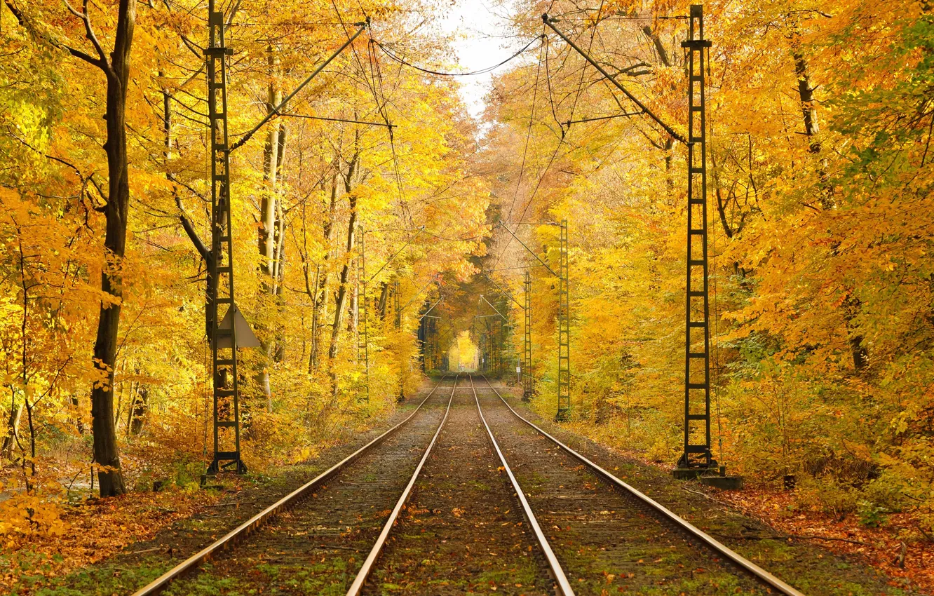 Photo wallpaper autumn, leaves, trees, rails