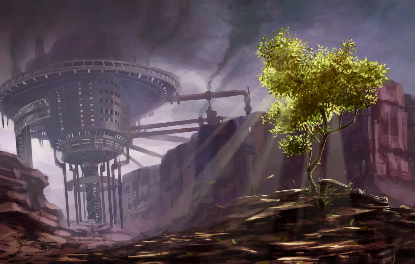 Photo wallpaper light, trees, plant, smoke