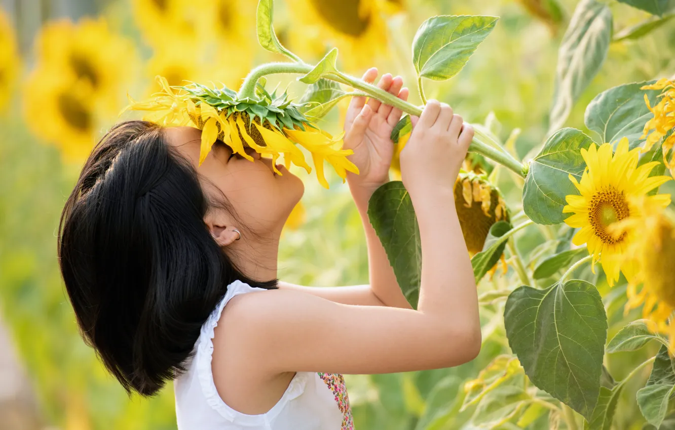 Photo wallpaper Nature, Summer, Hair, Girl, Sunflowers, Nature, Summer, Little girl