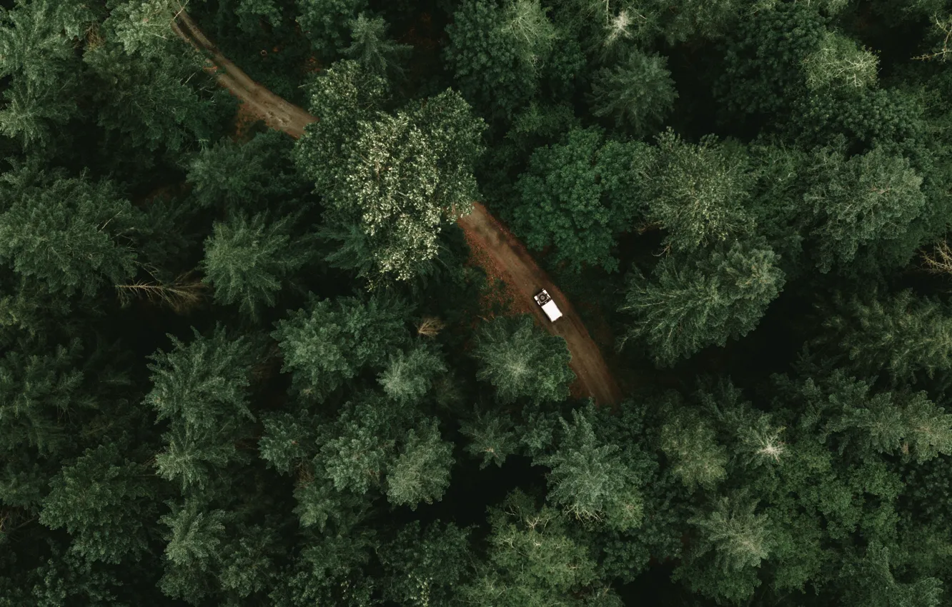 Photo wallpaper road, car, machine, trees, road, taiga, trees, the view from the top