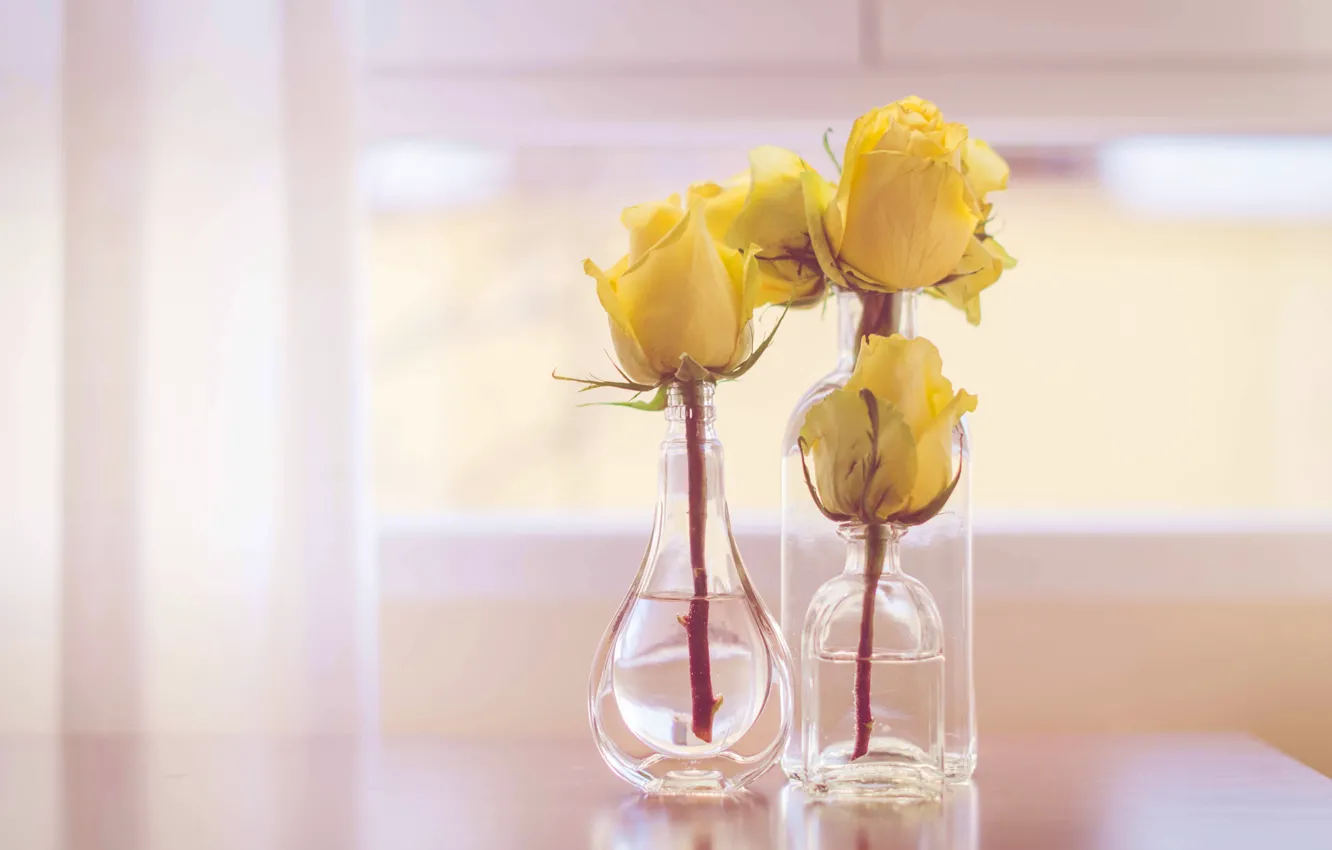 Photo wallpaper style, roses, buds, bottle, yellow roses