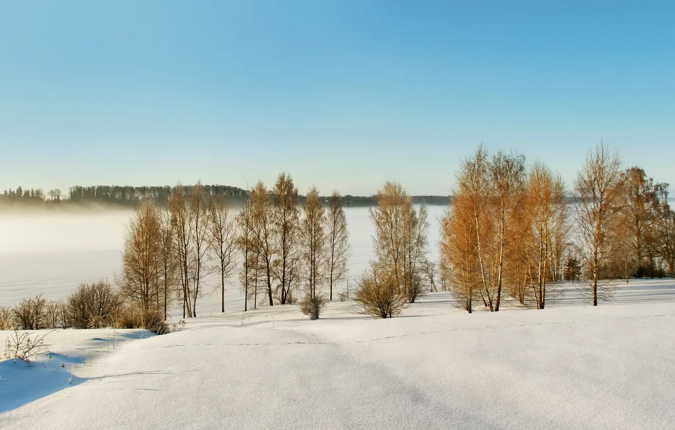 Photo wallpaper winter, nature, Latvia