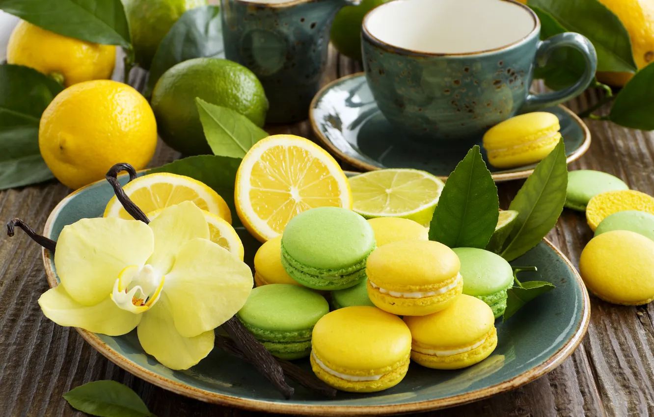 Photo wallpaper flowers, sweets, dessert, macaroon