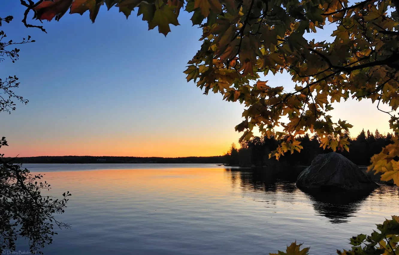 Photo wallpaper the sky, trees, branches, nature, lake, stones, photo, horizon