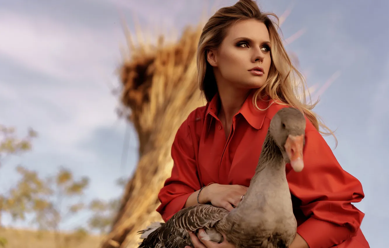 Photo wallpaper girl, bird, blonde, geese