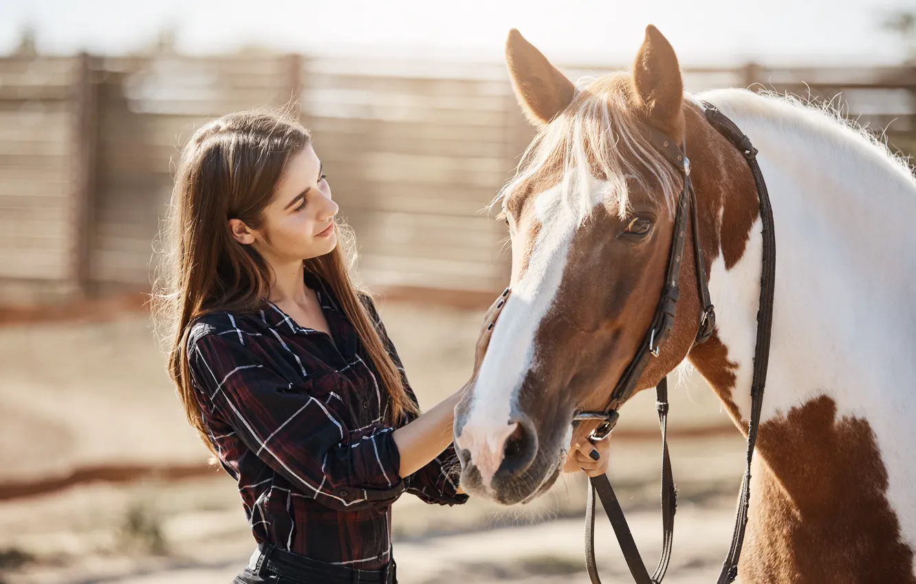 Photo wallpaper look, girl, light, pose, each, horse, horse, the fence