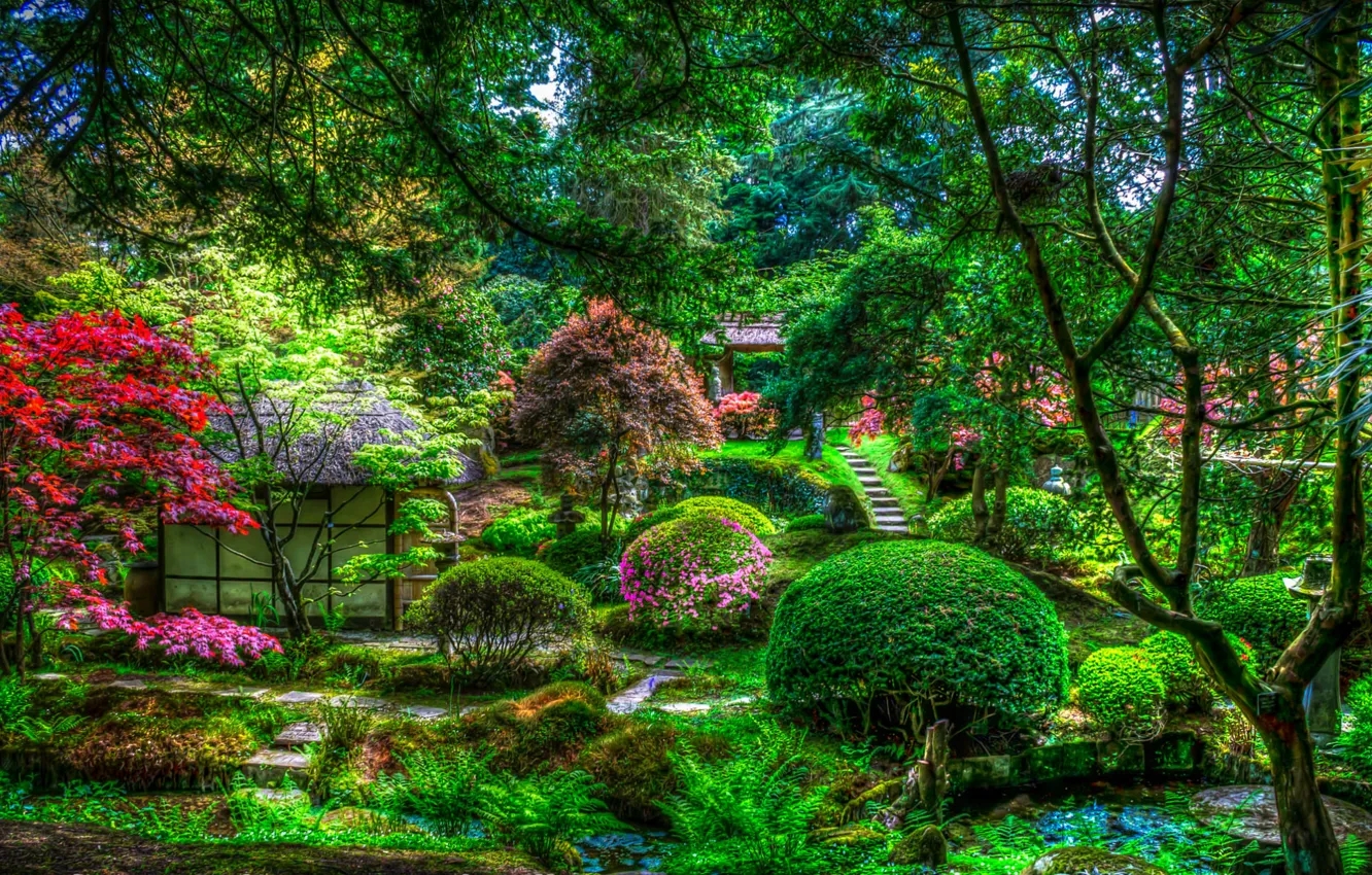 Photo wallpaper trees, flowers, pond, Park, HDR, Japan, house, the bushes