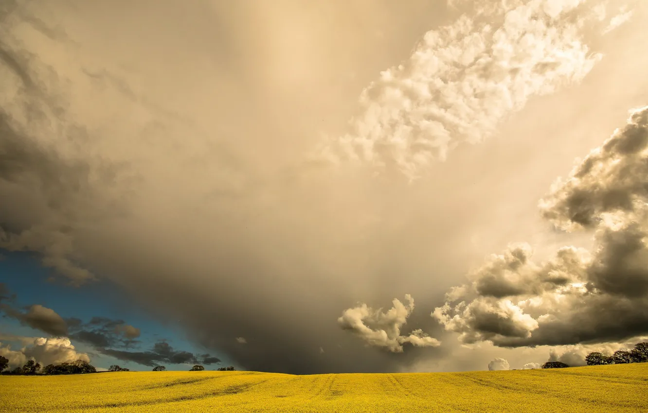 Photo wallpaper field, summer, the sky, clouds
