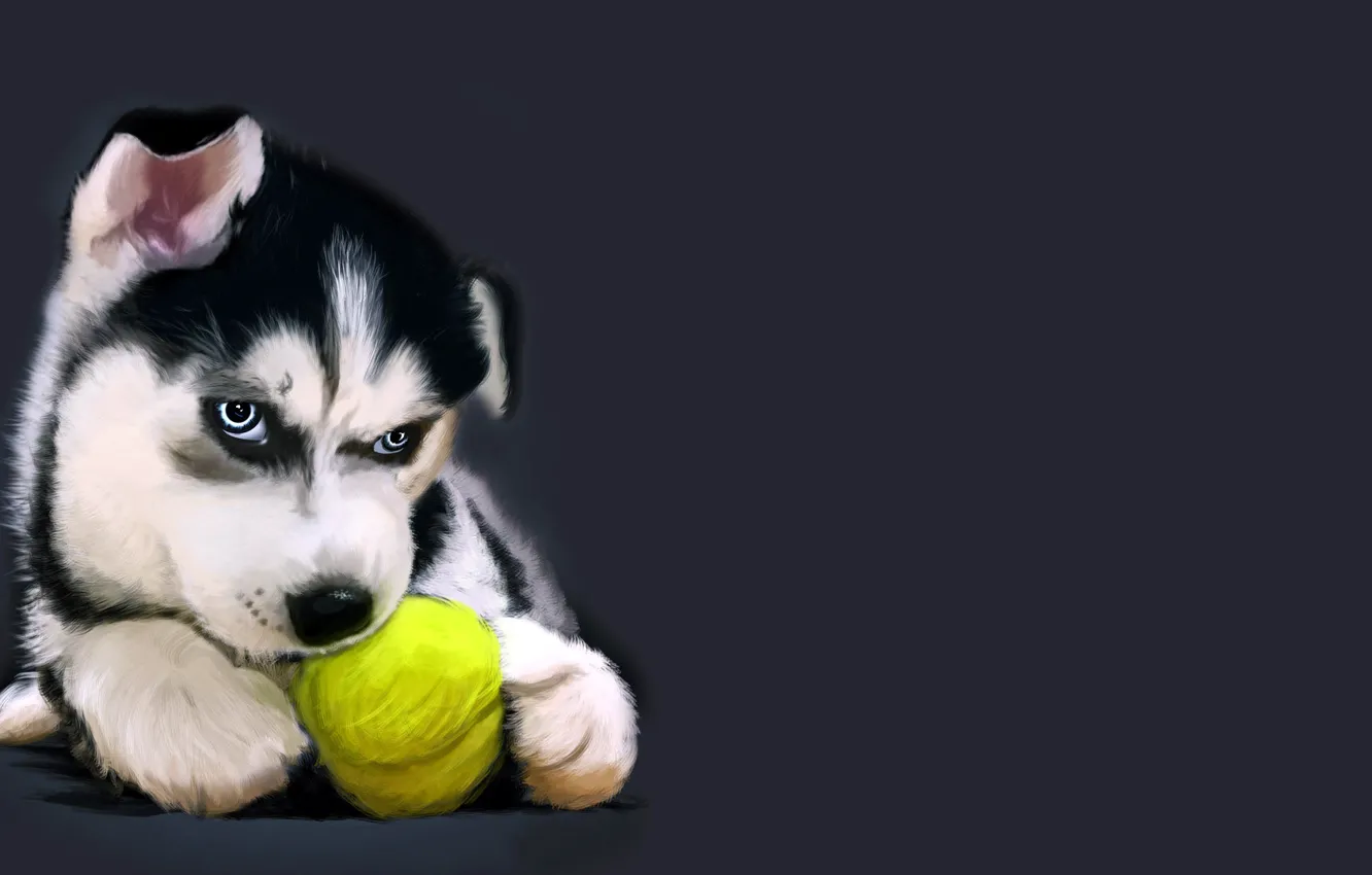 Photo wallpaper figure, puppy, the ball, husky