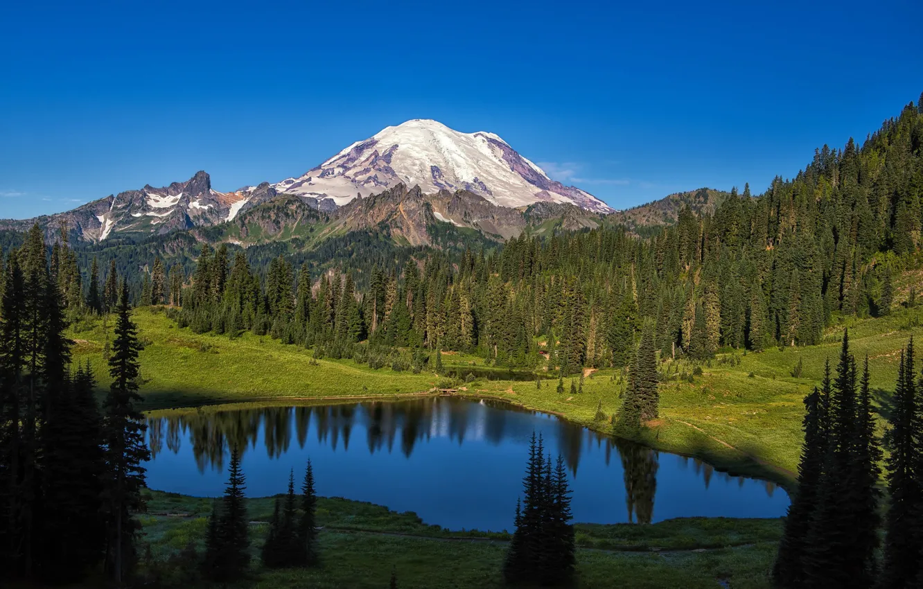 Photo wallpaper forest, trees, mountains, lake, Washington, Mount Rainier National Park, National Park mount Rainier, Mt Rainier