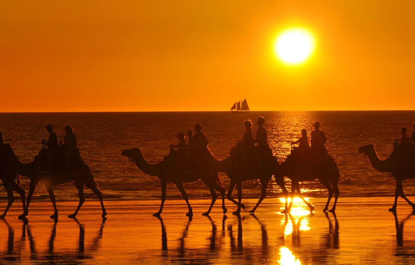 Photo wallpaper sea, the sun, sailboat, camel, caravan, tourists