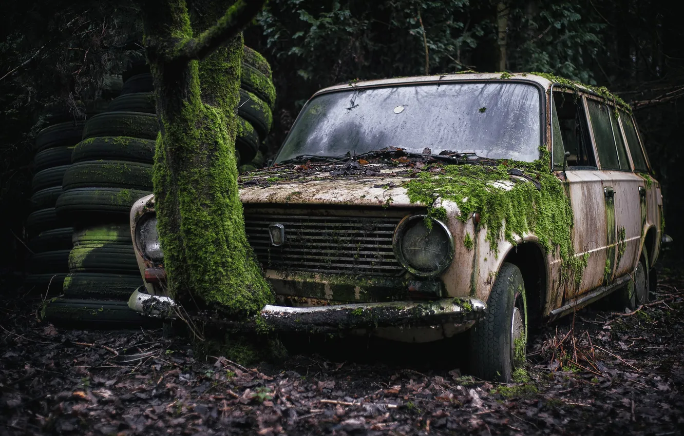Photo wallpaper machine, moss, Lada