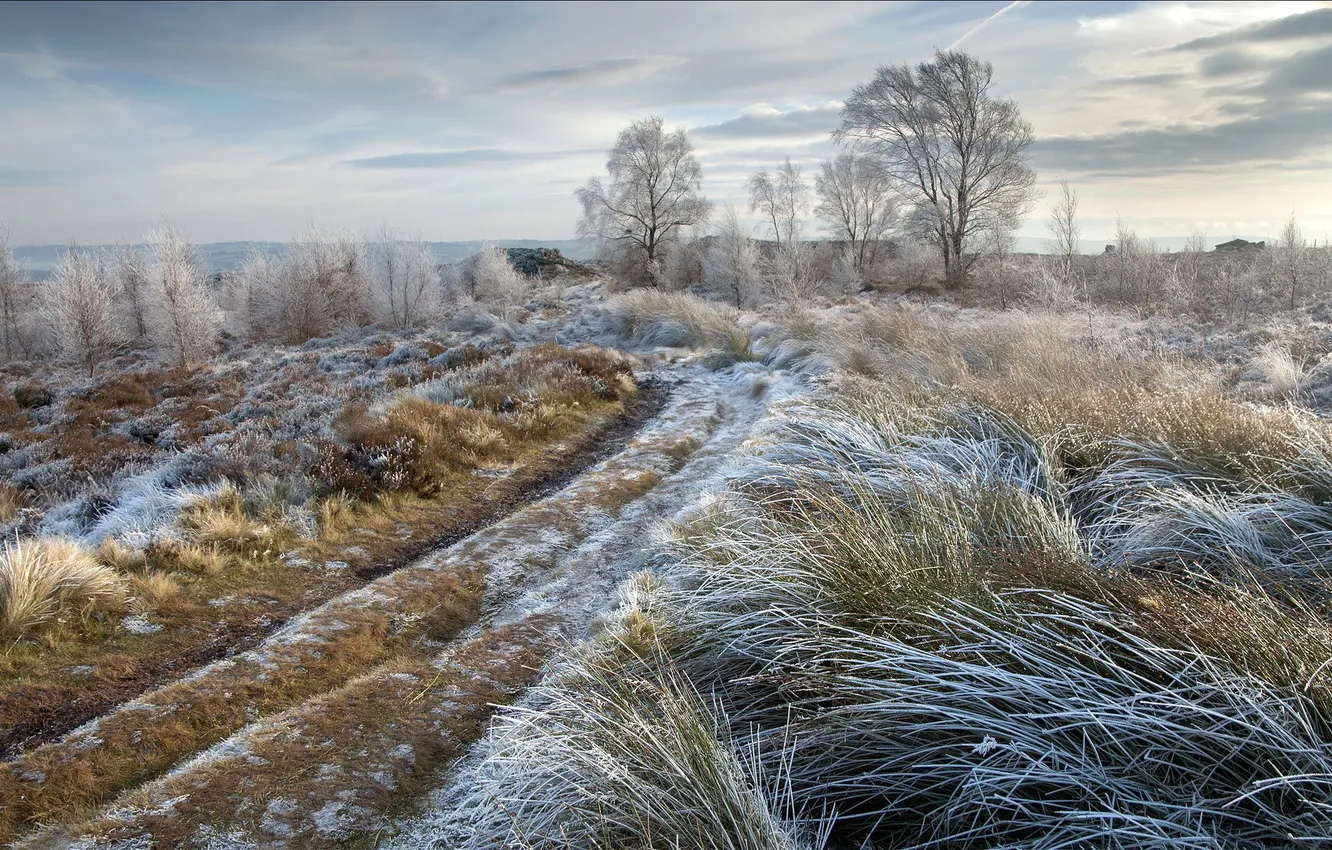 Photo wallpaper frost, road, field