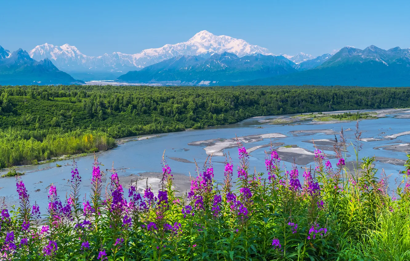 Photo wallpaper mountains, nature, river, USA, Denali National Park