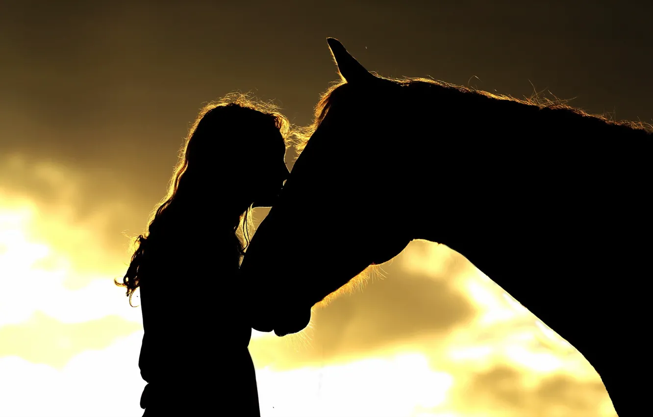 Photo wallpaper girl, horse, silhouettes