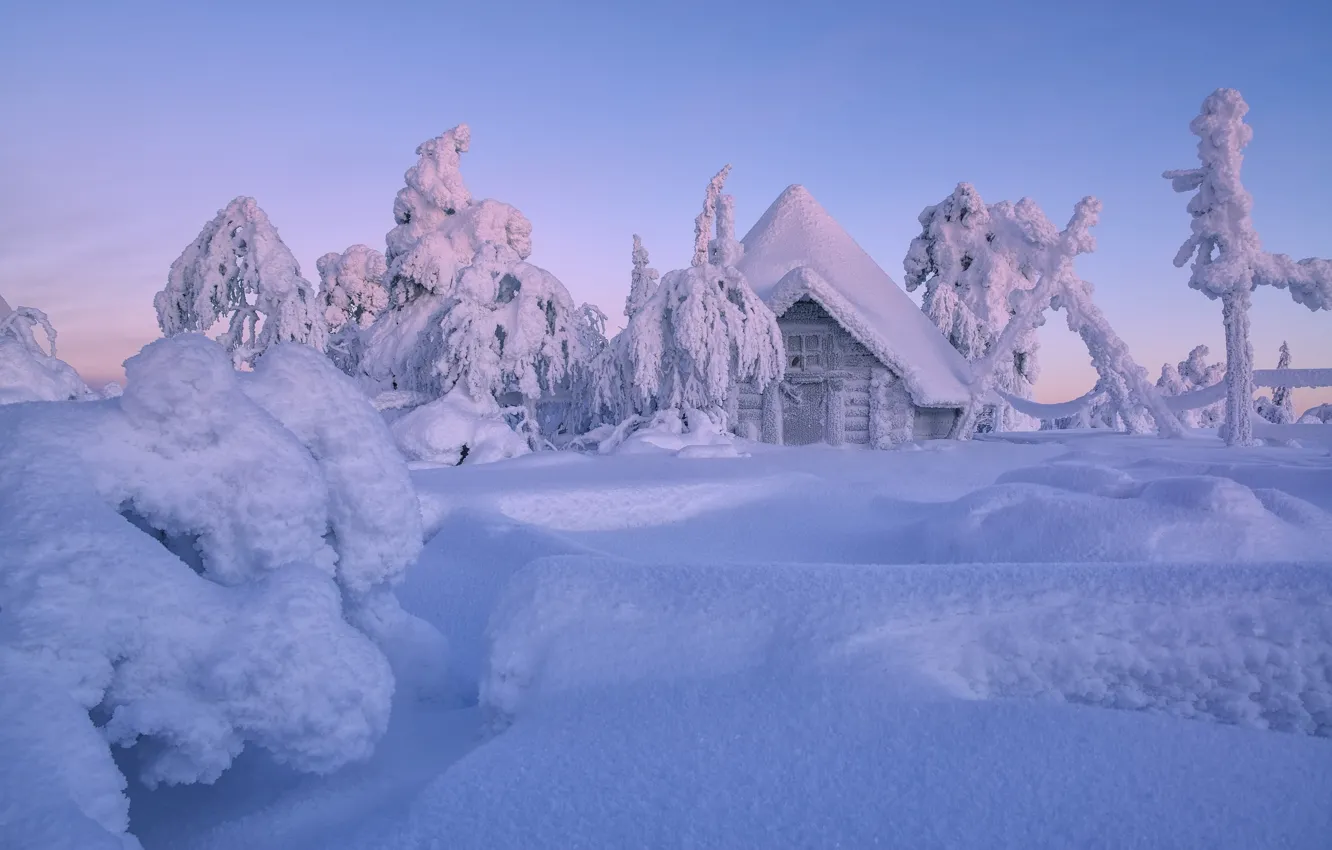 Photo wallpaper winter, snow, trees, hut, the snow, house, hut, Finland