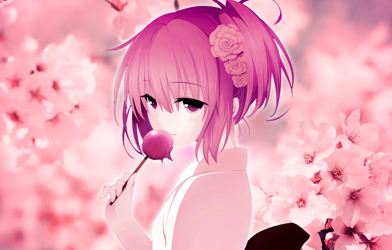 Photo wallpaper girls, Sakura, kimono, pink hair, cherry blossoms, Wallpaper anime, candy on the Desk