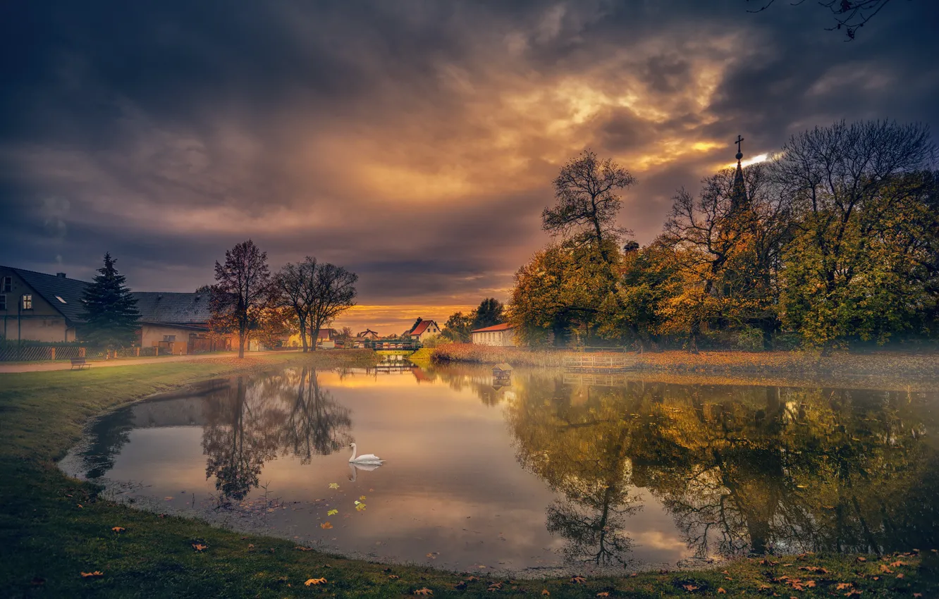 Photo wallpaper autumn, lake, swans