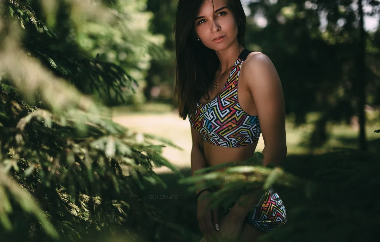 Photo wallpaper the sun, trees, branches, pose, model, portrait, makeup, figure