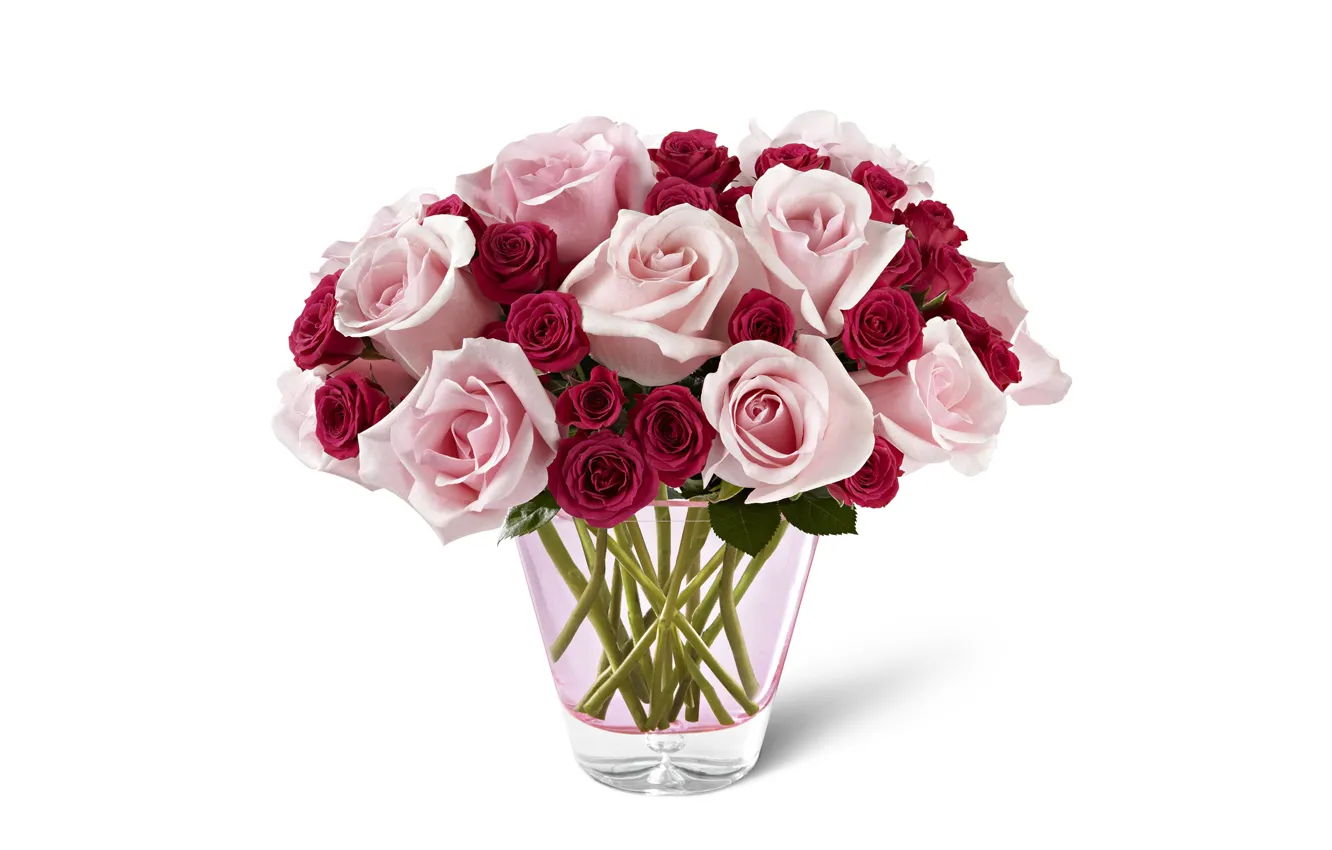 Photo wallpaper flowers, roses, bouquet, white background, vase, pink, Burgundy