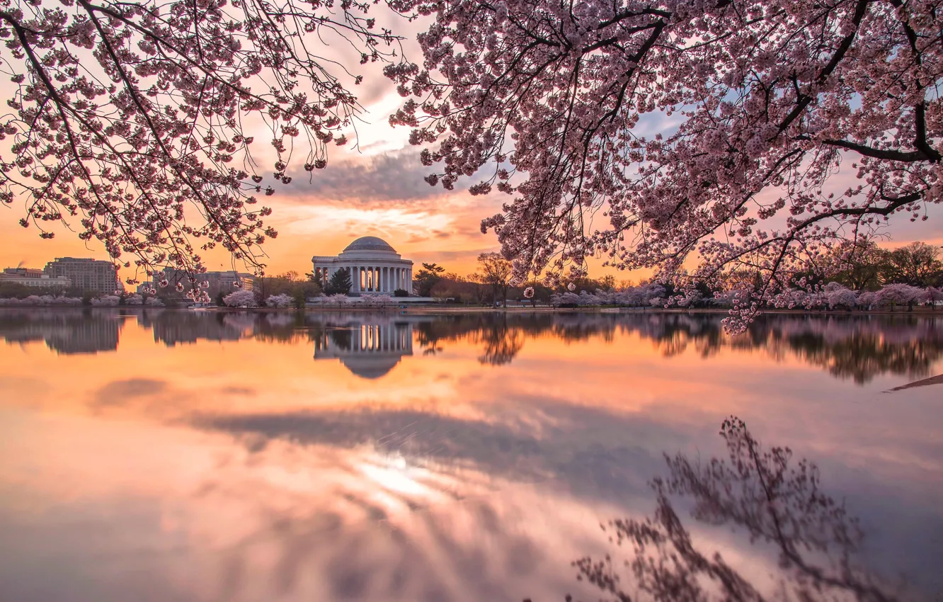 Photo wallpaper spring, Sakura, Washington, USA, rotunda, pond, Jefferson Memorial