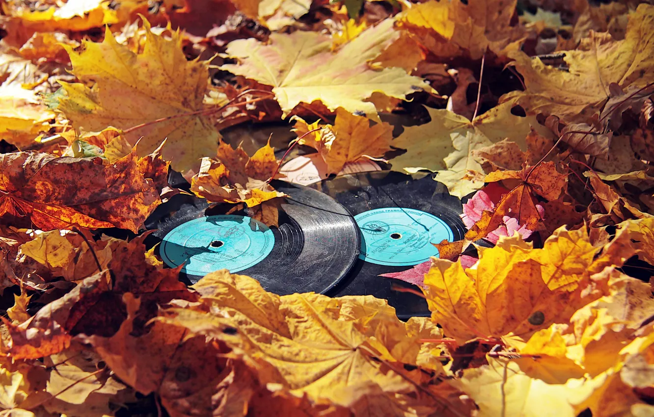 Photo wallpaper autumn, leaves, vinyl, records