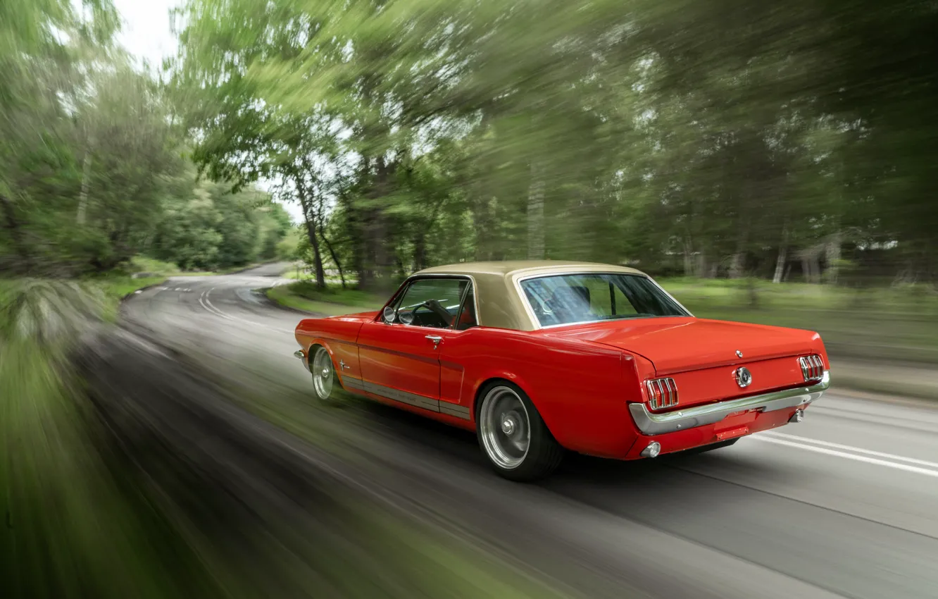 Photo wallpaper Mustang, Ford, speed, 1965 Ford Mustang Coupe, Alan Mann Racing