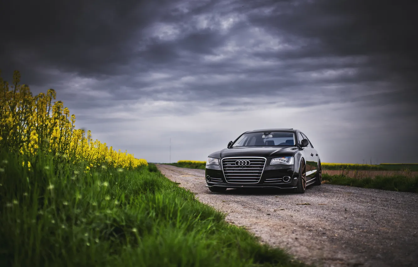 Photo wallpaper Audi, Clouds, Grass, Black, Gray