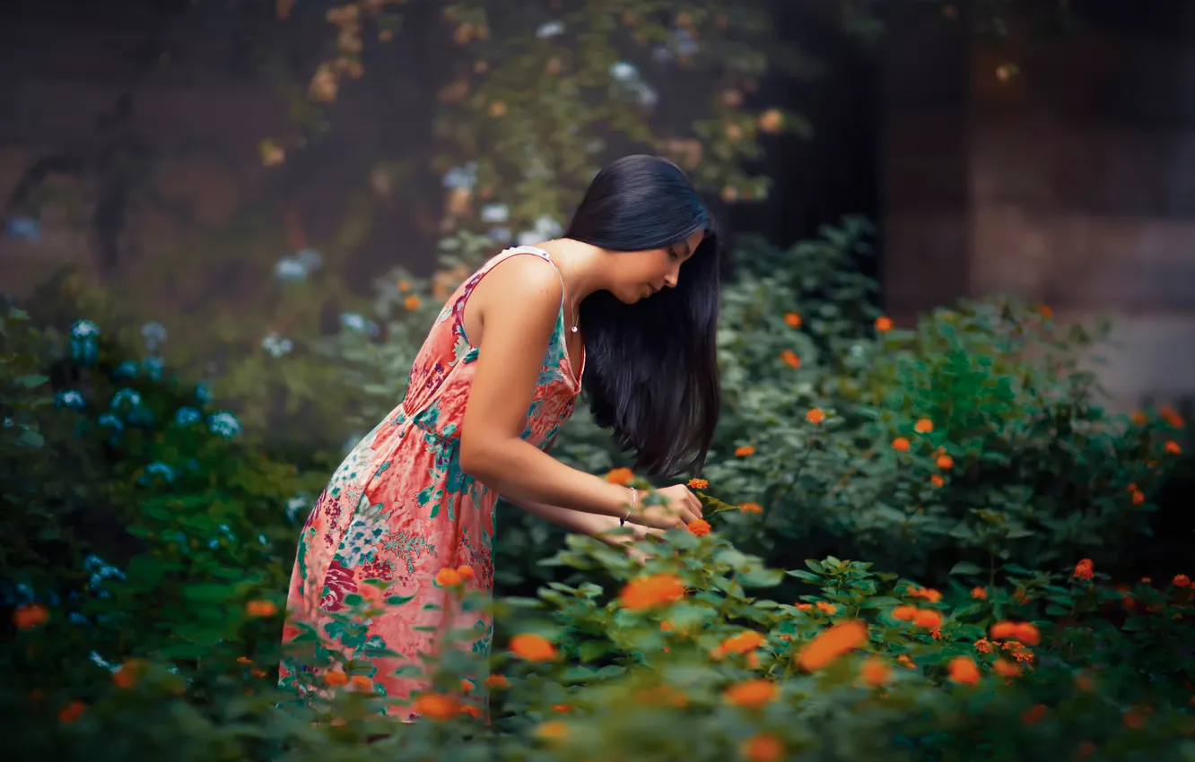 Photo wallpaper girl, flowers, Orange spots