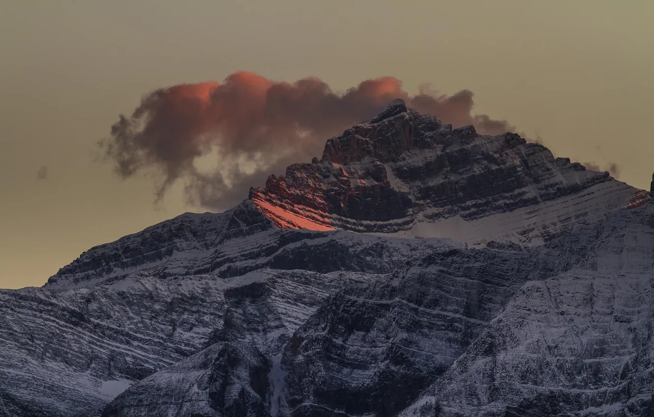 Photo wallpaper winter, forest, trees, sunset, mountains, twilight, snow. top