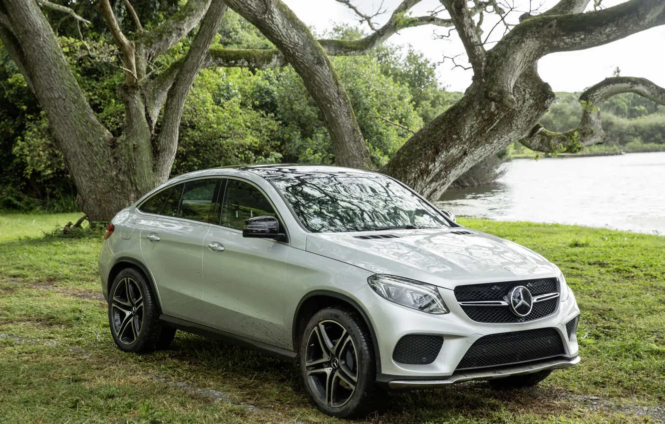 Photo wallpaper forest, grass, trees, nature, lake, car, Jurassic world, Jurassic World