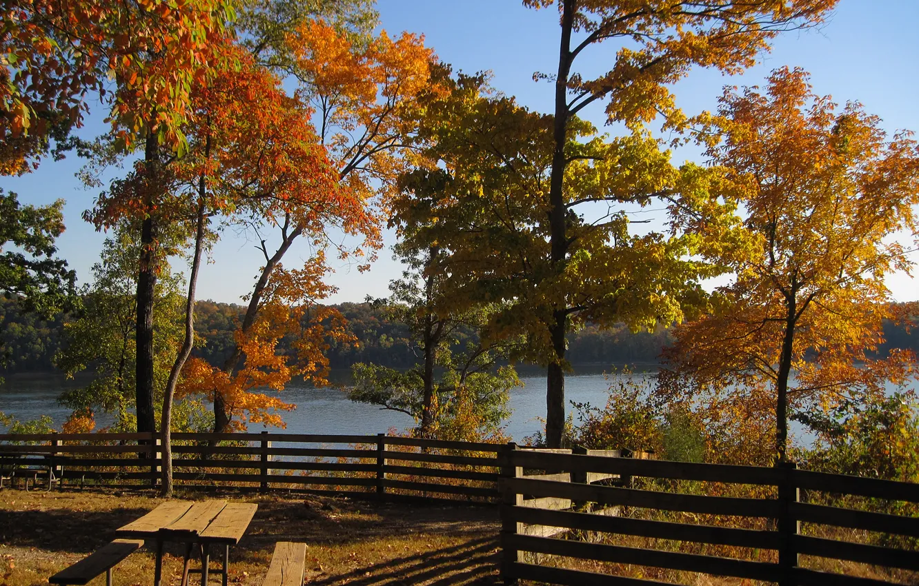 Photo wallpaper autumn, trees, nature, lake, gazebo, trees, nature, autumn