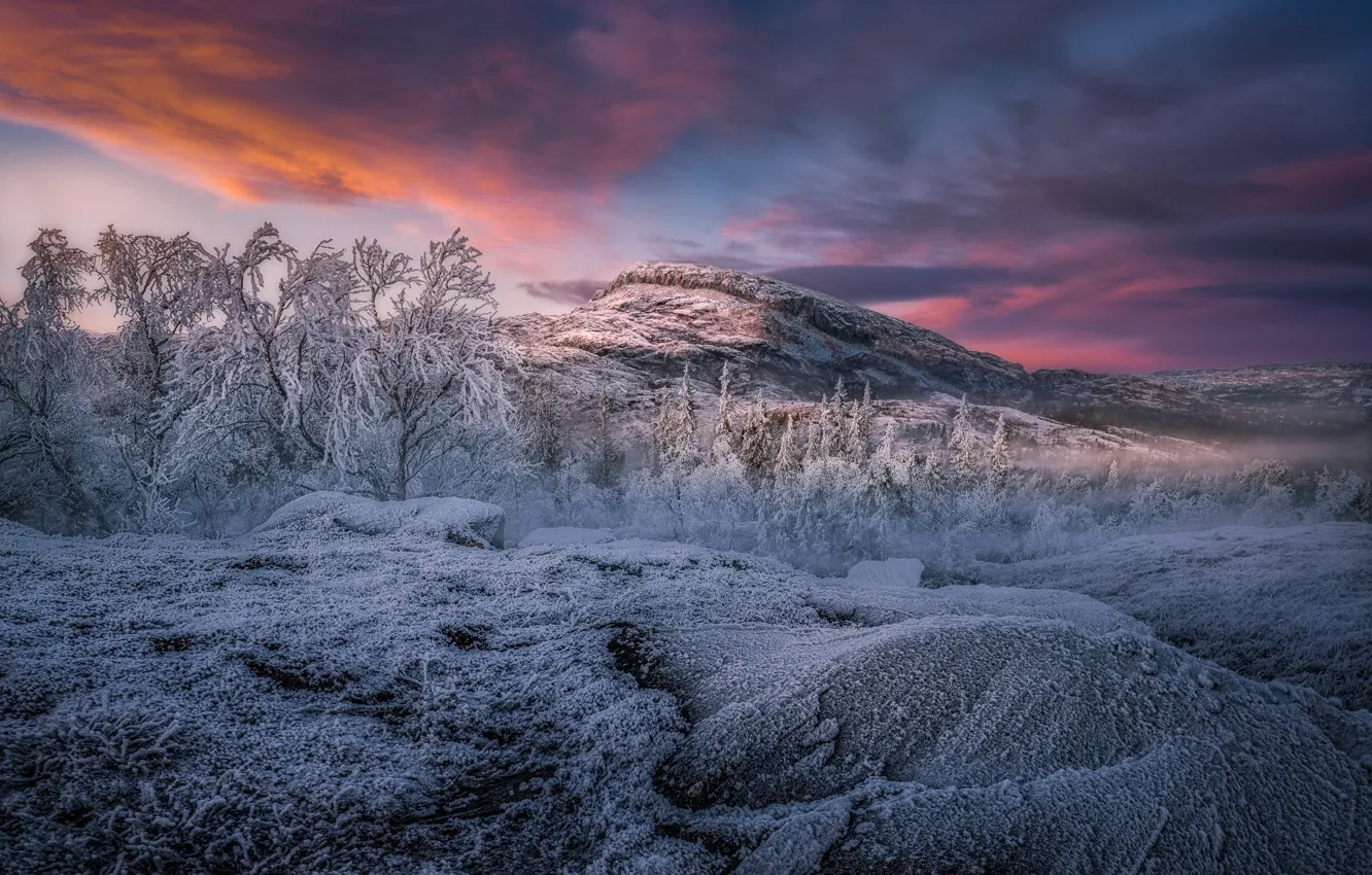 Photo wallpaper winter, frost, forest, the sky, trees, mountains, nature