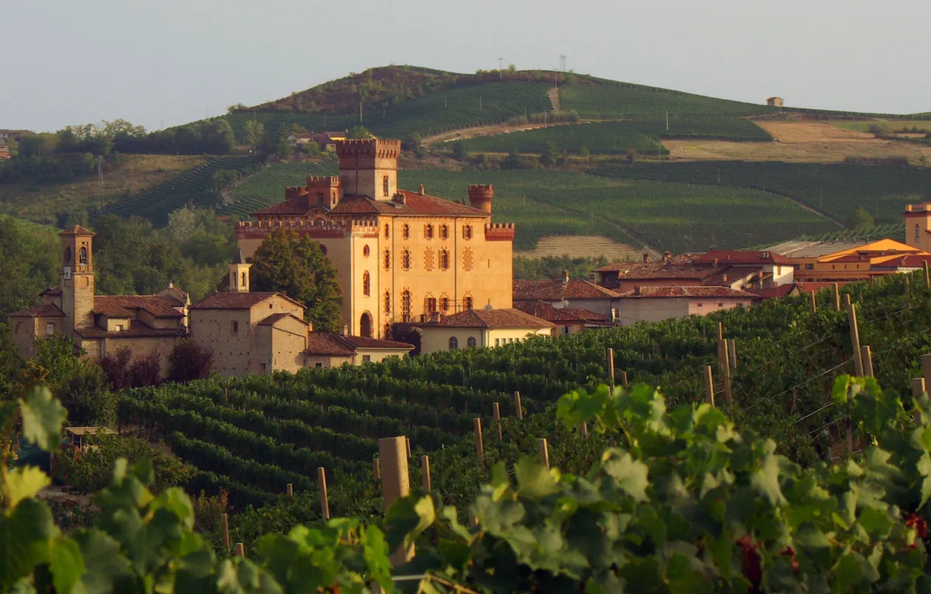Photo wallpaper Italy, wine, Piemonte, Vineyard, red wine, Barolo, Denomination of Controlled and Guaranteed Origin, DOCG