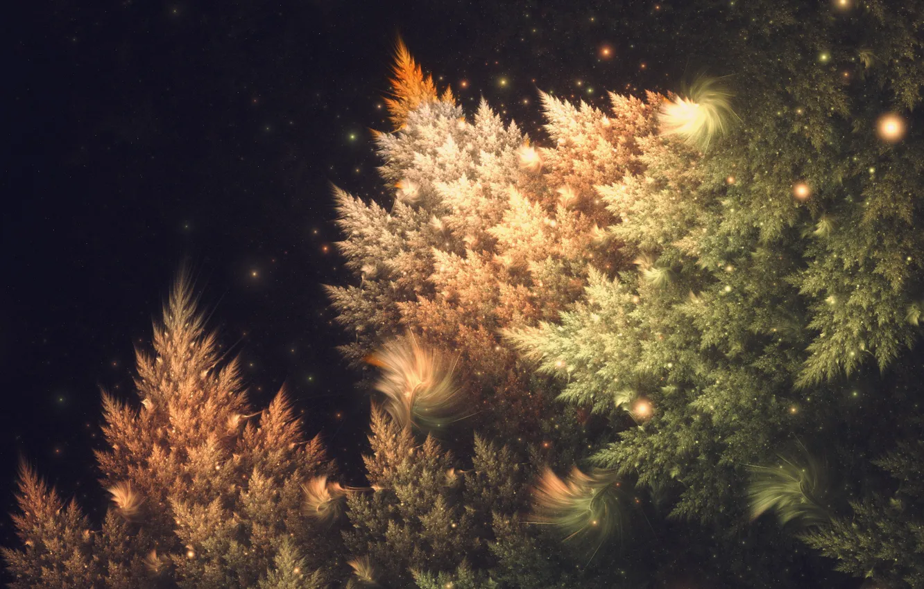 Photo wallpaper spruce, lights, tree, Silvia Cordedda, bayberry shot