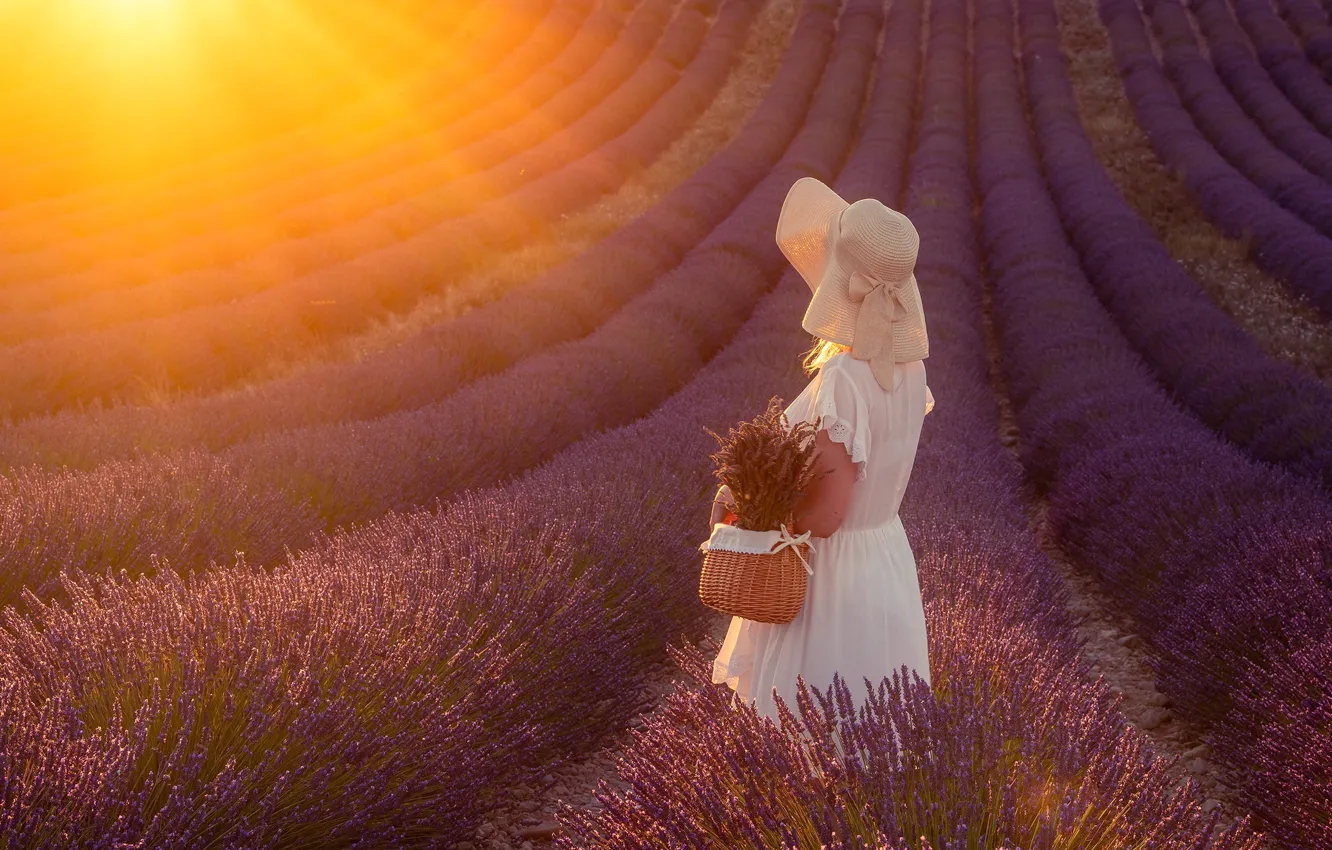 Photo wallpaper field, summer, girl, the sun, rays, light, flowers, pose