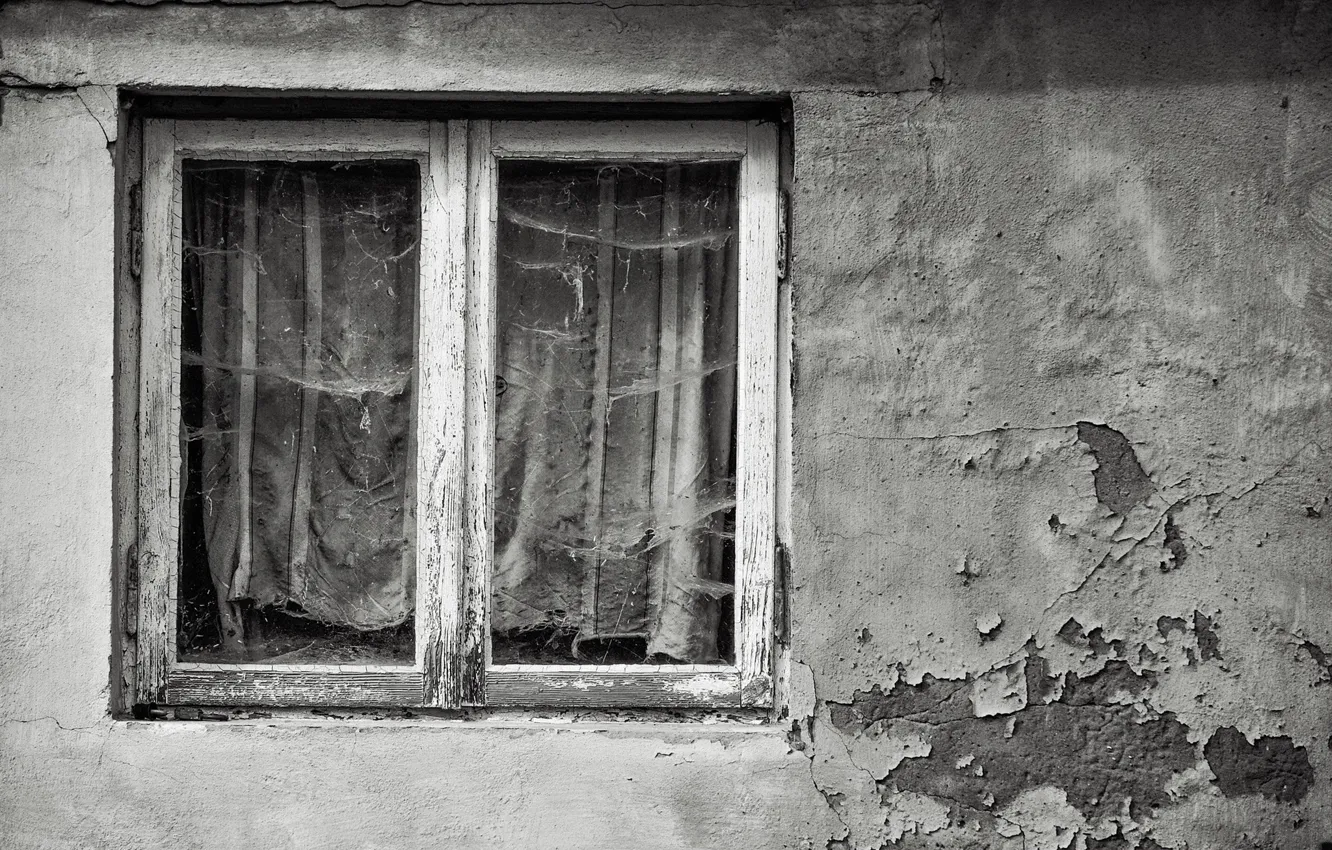 Photo wallpaper wall, home, window, naturalism