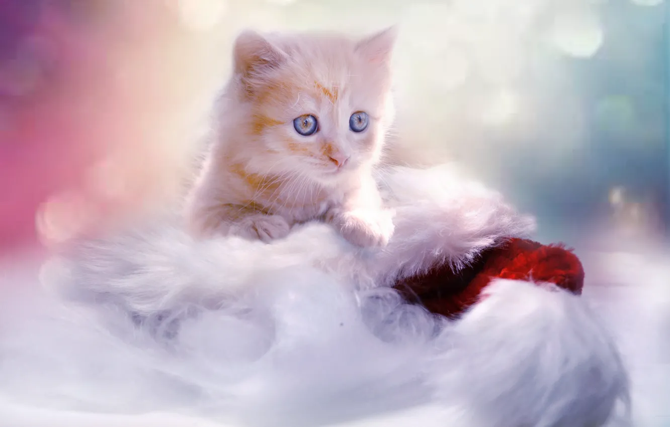 Photo wallpaper new year, baby, Christmas, red, kitty, cap