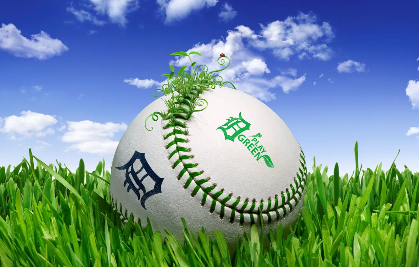 Photo wallpaper the sky, grass, the ball