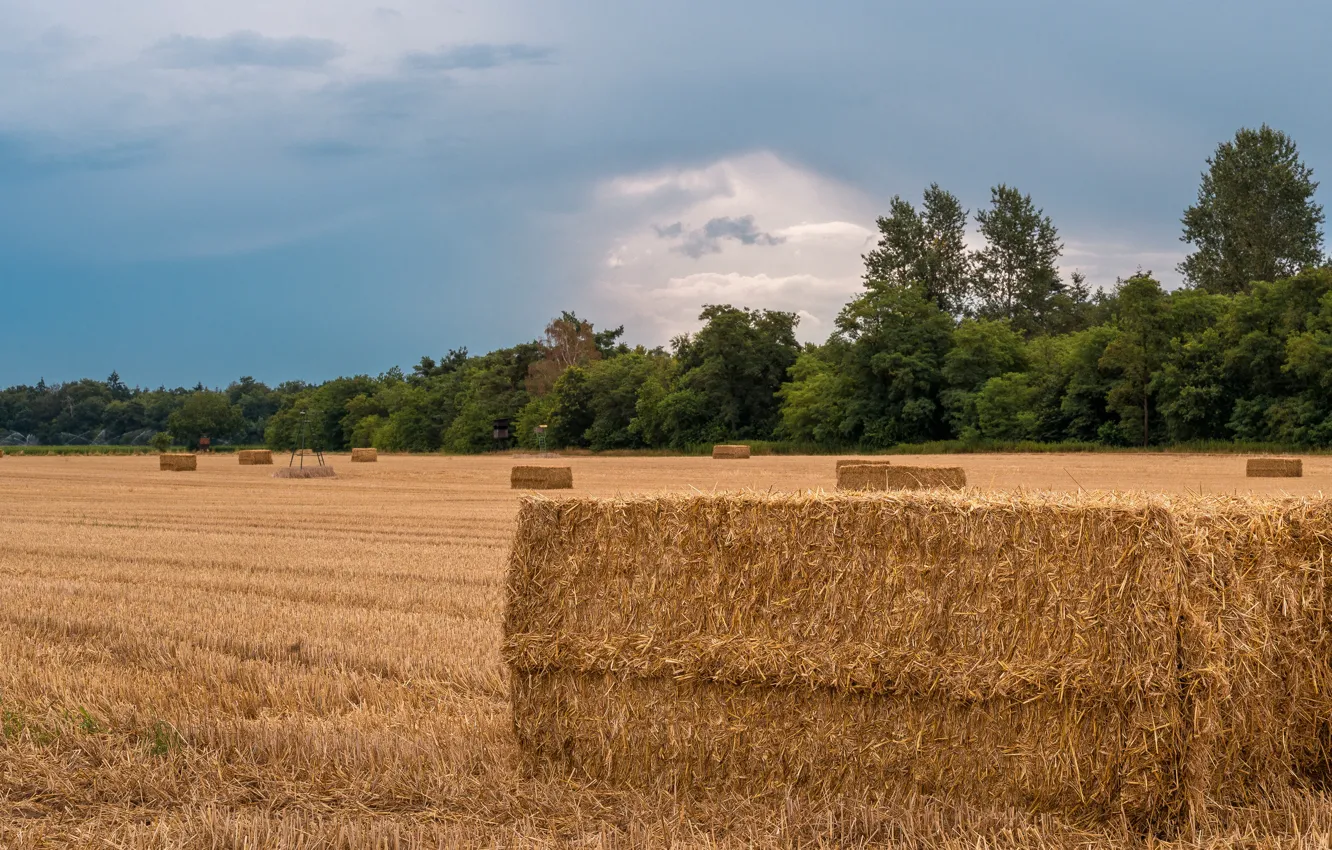 Photo wallpaper field, the sky, clouds, hay, bale, bales, straw, the forest
