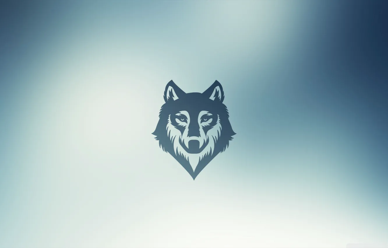 Photo wallpaper wolf, blur, wolf
