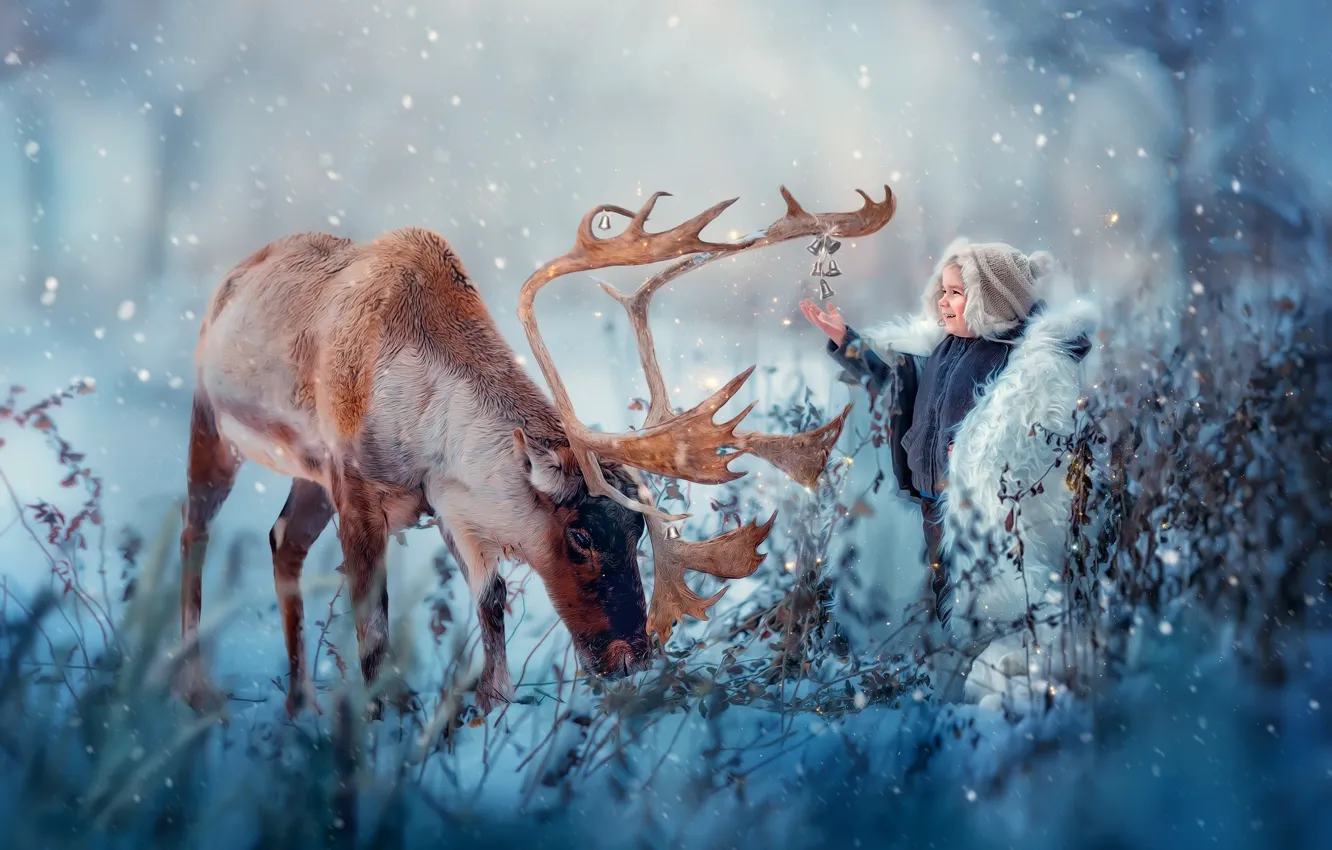 Photo wallpaper winter, snow, joy, nature, animal, boy, deer, bells