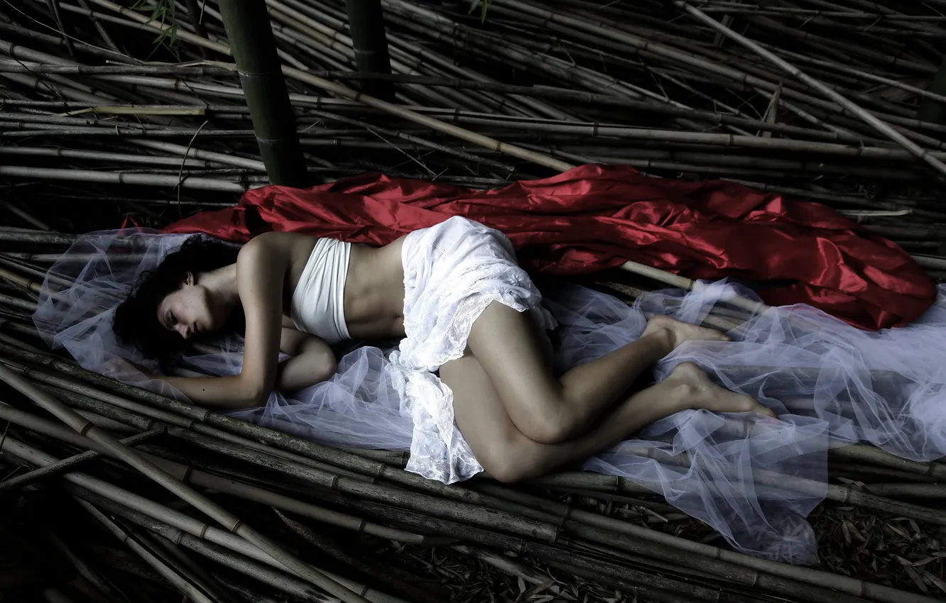 Photo wallpaper girl, sleep, bamboo