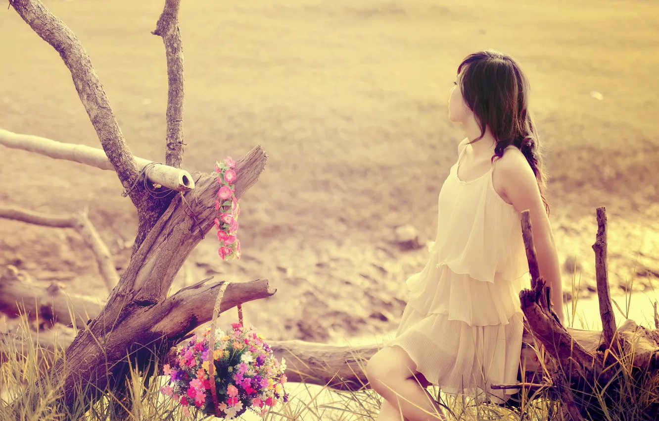 Photo wallpaper field, girl, flowers