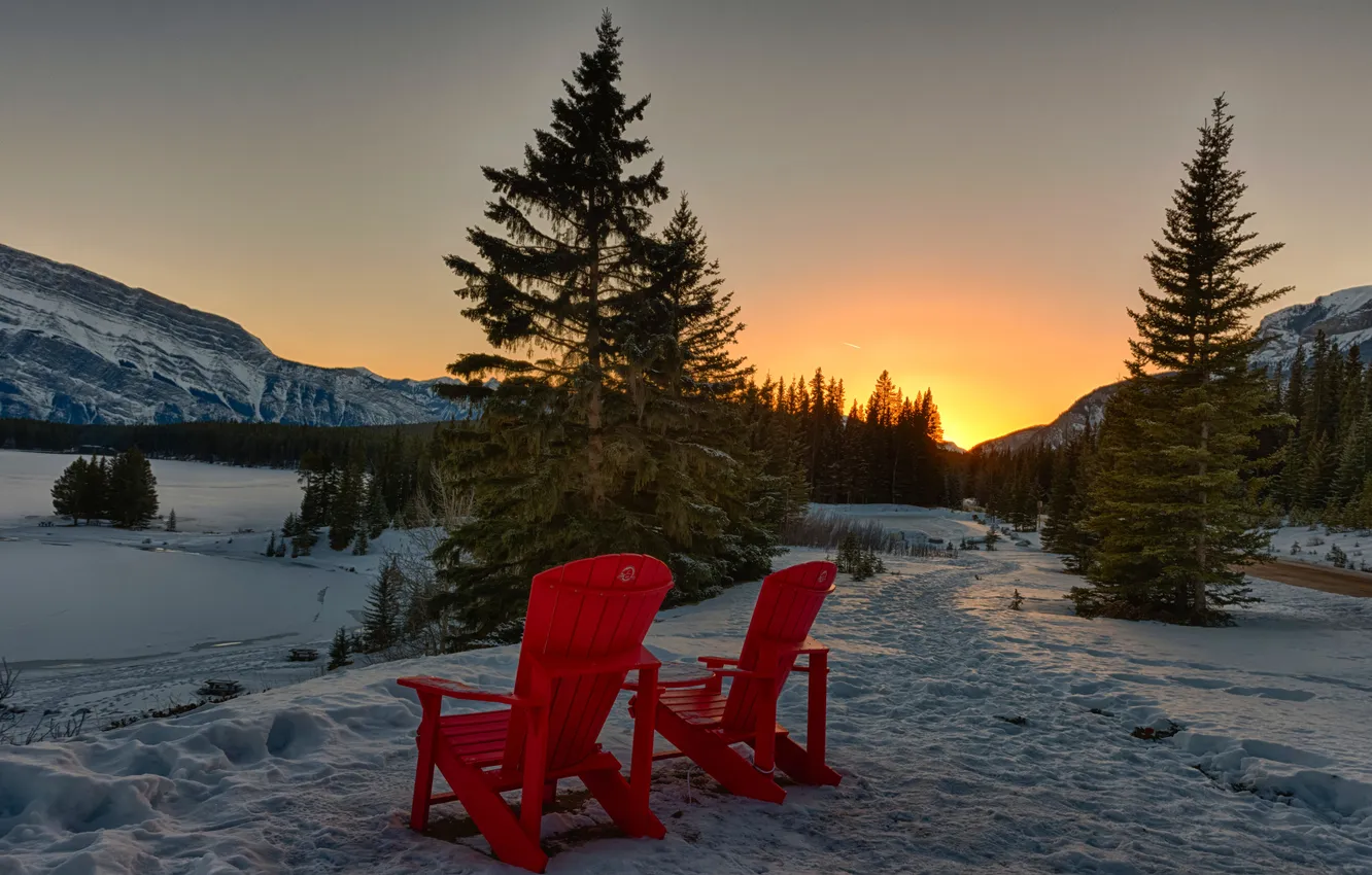 Photo wallpaper winter, road, forest, the sky, snow, trees, landscape, nature