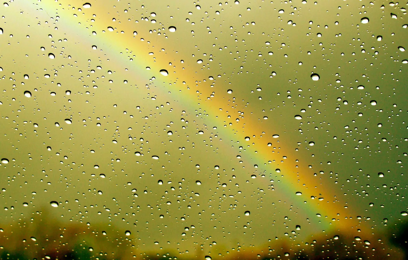 Photo wallpaper rain, rainbow, water drops